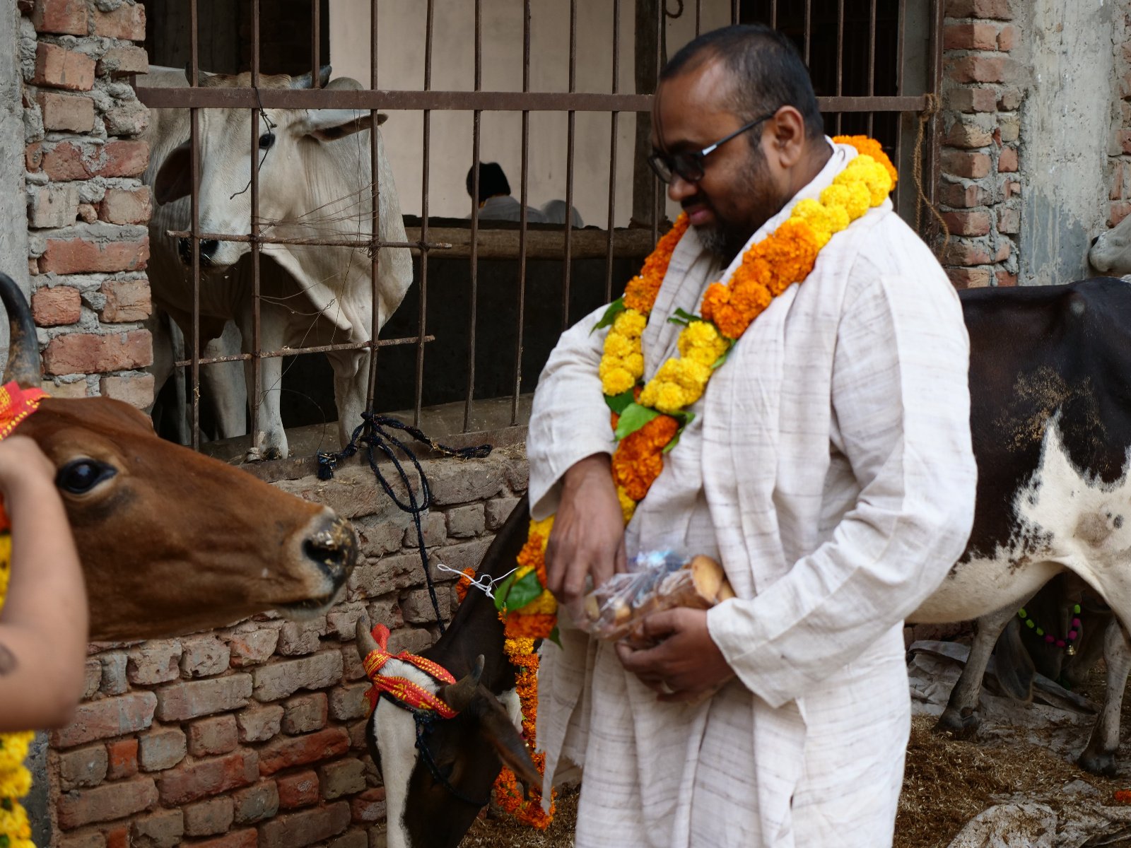  50 Gopashtami Radha kunda Govardhan 19.11.04